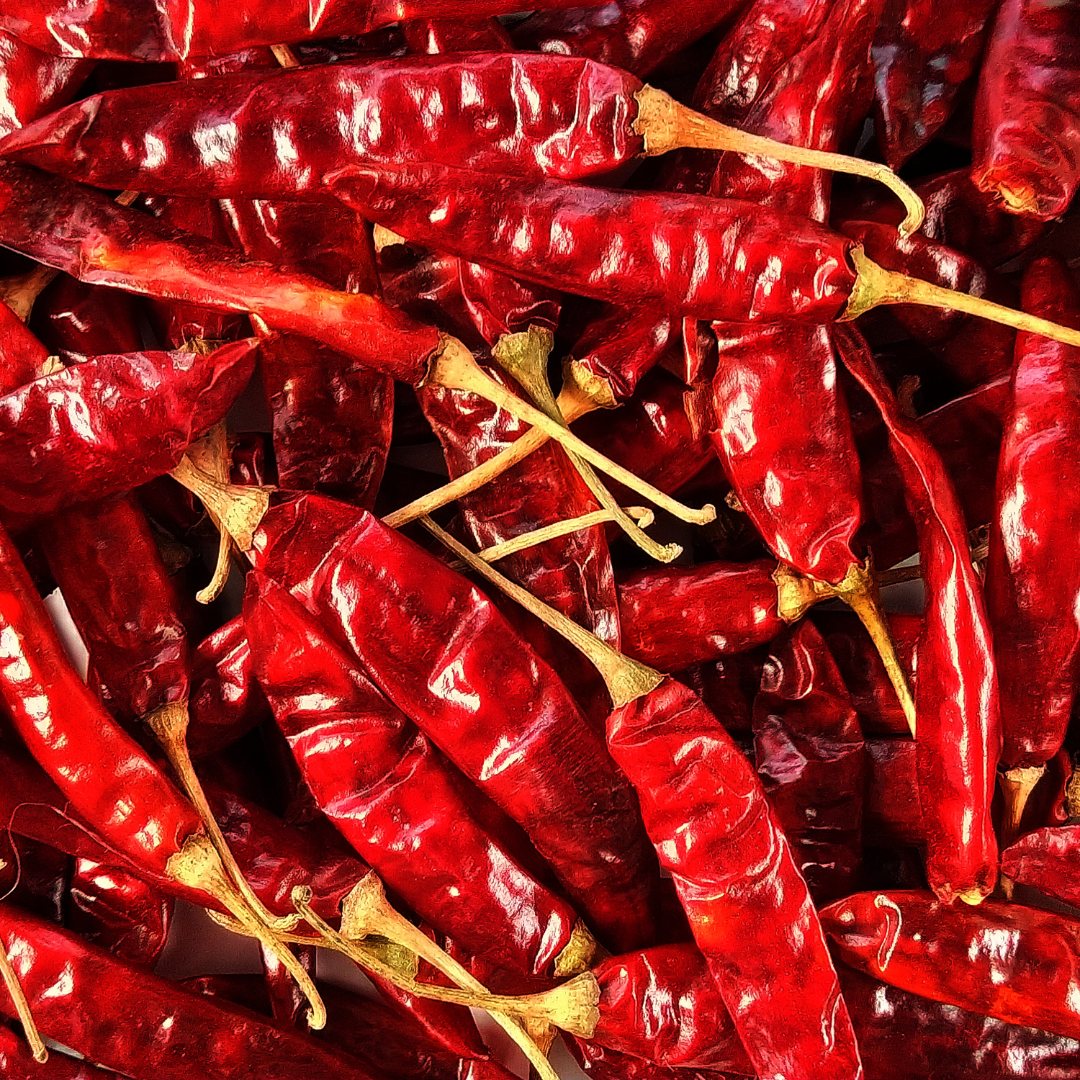 🌶 Why Kashmiri Chillies Deserve a Spot in Your Pantry
