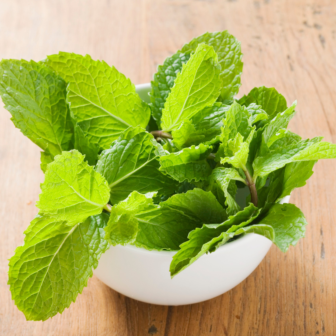 Dried Mint: The Secret Ingredient You’re Overlooking